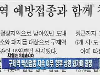 구제역 백신접종 지속 여부, 향후 상황 봐가며 결정