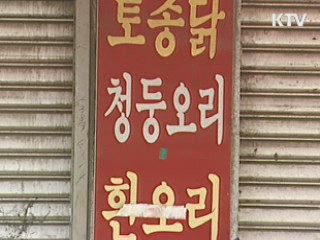 이천 'AI 의심' 오리 110마리 폐사···정밀검사 