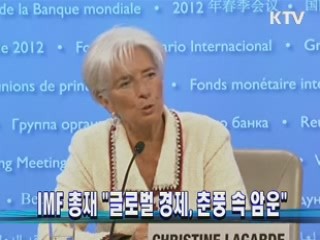 IMF 총재 "글로벌 경제, 춘풍 속 암운"
