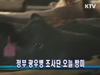 정부 광우병 조사단 오늘 방미