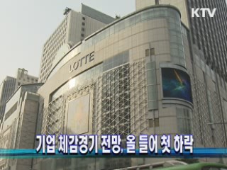 기업 체감경기 전망, 올 들어 첫 하락