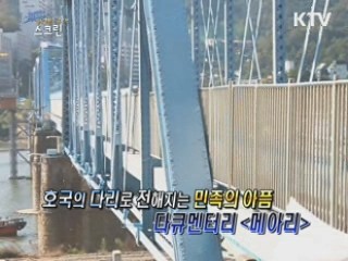 G20세대 영상창작 도화지 '스크린' (28회)