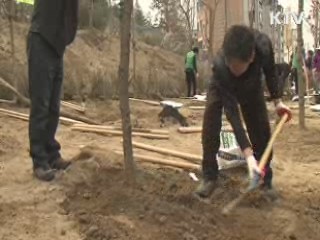 전국 방방곡곡 '푸른 국토 만들기'