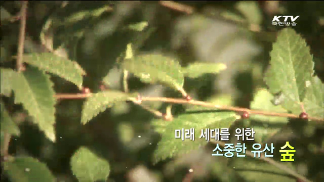 사랑과 희망을 심는 몽골의 녹색 전사들