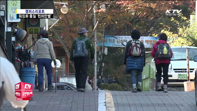 "워킹화 품질 천차만별…잘 따져봐야"