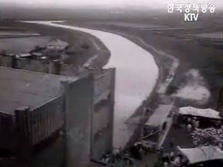 저수지 배양공사 준공(`71)