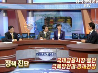 국제금융시장 불안 극복방안과 경제전망