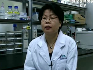 염모제, 알고 사용하세요