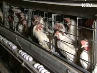 한·EU FTA 농축산 분야 피해 최소화