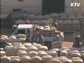 정부 매입 등 쌀값 안정대책 추진