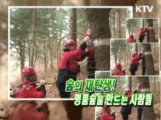 숲의 재탄생! 명품 숲을 만드는 사람들 [정책, 현장을 가다]