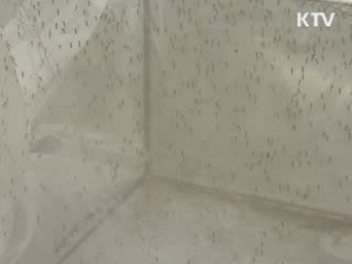 질병관리본부 '말라리아' 주의 당부