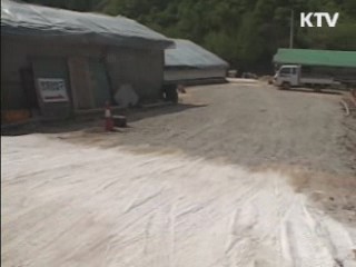 부여 오리농장서 저병원성 AI 확인