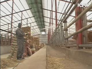 안동 등 5개 지역 백신 접종 실시