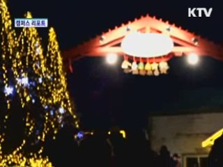 허브향에 더해지는 불빛의 향연