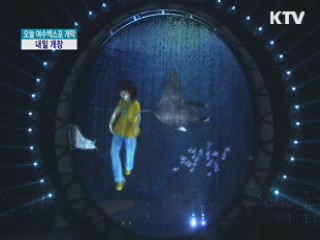 오늘 여수엑스포 개막…내일 개장