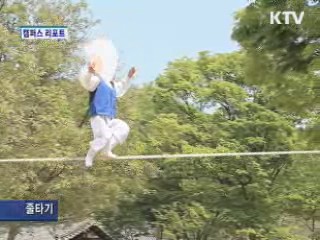 민속촌, 조선시대 문화축제