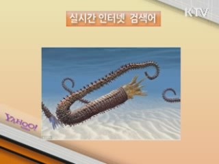 실시간 인터넷 검색어