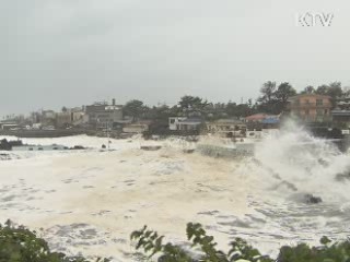 정책 오늘 (237회)