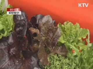 폐자원 텃밭 인기···"야채 자급자족" [국민리포트]