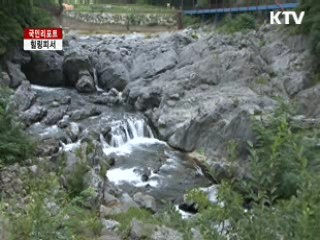 힐링피서, 백두대간 협곡열차 [국민리포트]