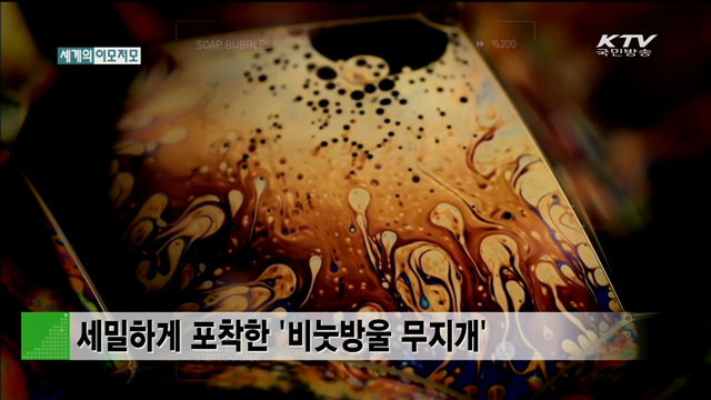 세밀하게 포착한 '비눗방울 무지개' [세계 이모저모]