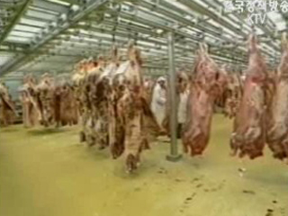 `국민안전` 최우선