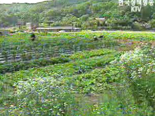 내년부터 ‘폭염특보제’ 도입 추진