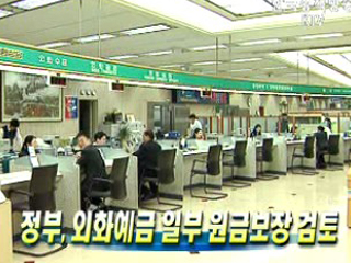 정부, 외화예금 일부 원금보장 검토