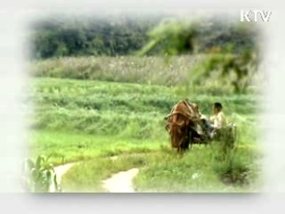 문화의 창 - 이충렬 감독의 "워낭소리"