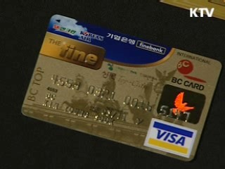 관세 카드 납부액 500만원으로 확대