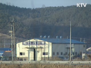 연말까지 토지·임야대장 대대적 손질