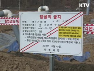 한강 상류 가축 매몰지 27곳 정비 착수
