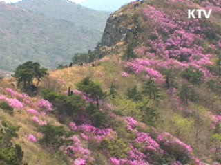 올 봄 이상저온 없고 황사 평년 수준