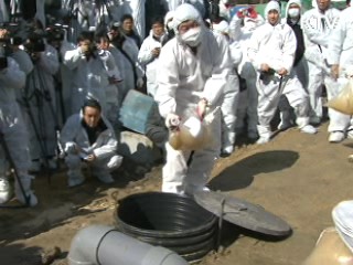 활성탄, 매몰지 악취 제거 효과 탁월