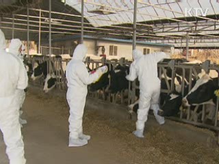 '검사검역본부' 신설, 상시 방역 구축