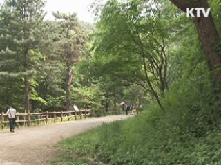 산림 분야 녹색 일자리 4만4천개 창출