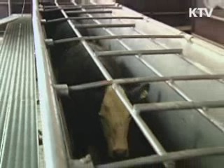 광우병 민관조사단 美 현지조사 시작