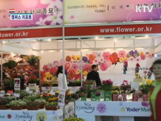 고양꽃박람회, 2억 송이 꽃의 향연