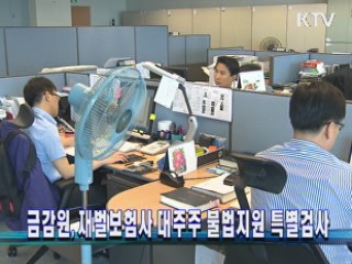 금감원, 재벌보험사 대주주 불법지원 특별검사