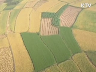 국제 곡물값 급등···국내 영향 선제적 차단