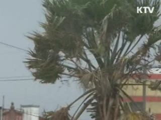 연일 기록적 폭염···이번 주가 분수령