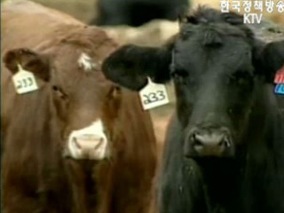 ‘부분 반송’ 논의