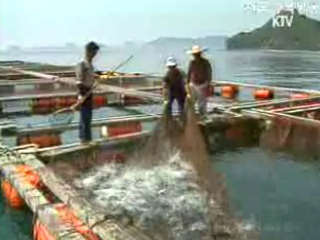 피해보상 `넉넉히`