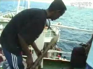 동원호 석방 <90% 접근>