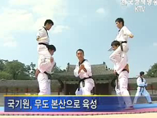 태권도, 대표 문화자산으로 육성