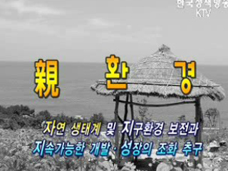 지구를 지키는 작은 습관, 친환경 운전