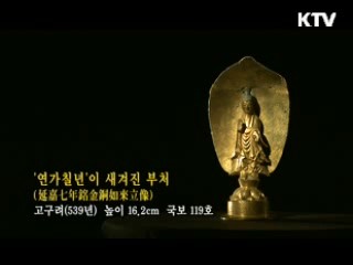 '연가칠년'이 새겨진 부처 [한국의 유물]