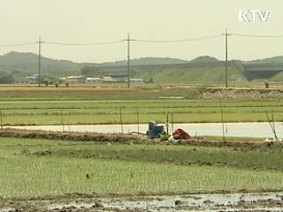 전국 163개 시·군 세밀한 발전 전략