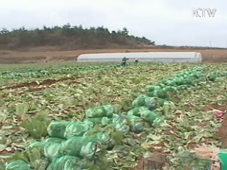 농어업 체질개선·소득증대 '원년'